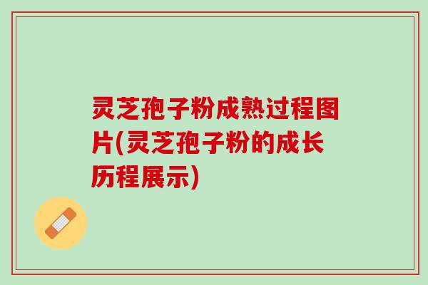 灵芝孢子粉成熟过程图片(灵芝孢子粉的成长历程展示)