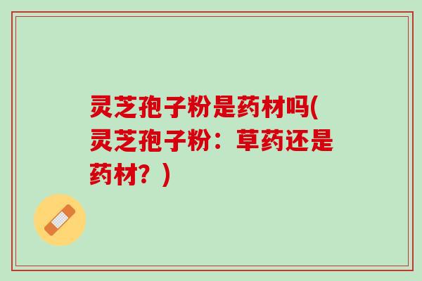 灵芝孢子粉是药材吗(灵芝孢子粉：草药还是药材？)
