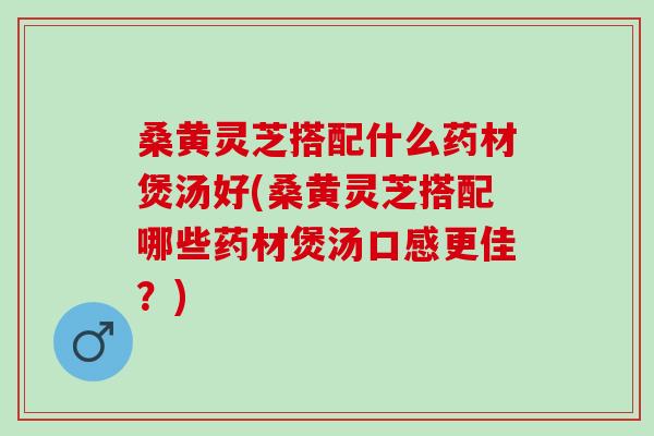 桑黄灵芝搭配什么药材煲汤好(桑黄灵芝搭配哪些药材煲汤口感更佳？)