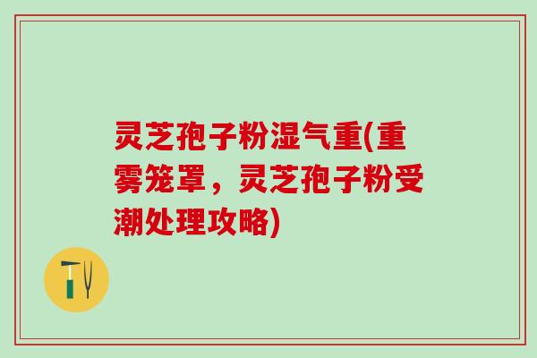 灵芝孢子粉湿气重(重雾笼罩，灵芝孢子粉受潮处理攻略)
