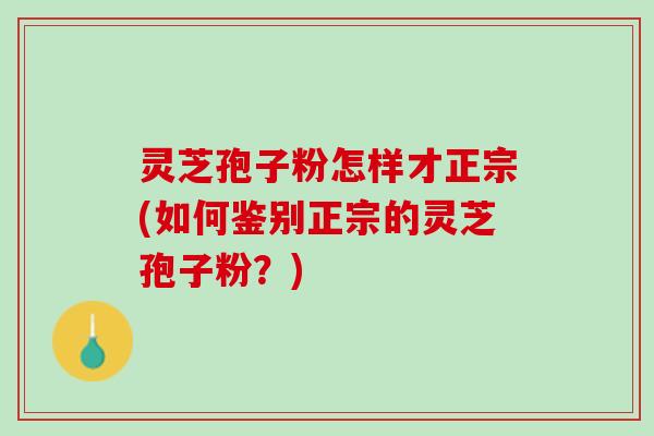 灵芝孢子粉怎样才正宗(如何鉴别正宗的灵芝孢子粉？)