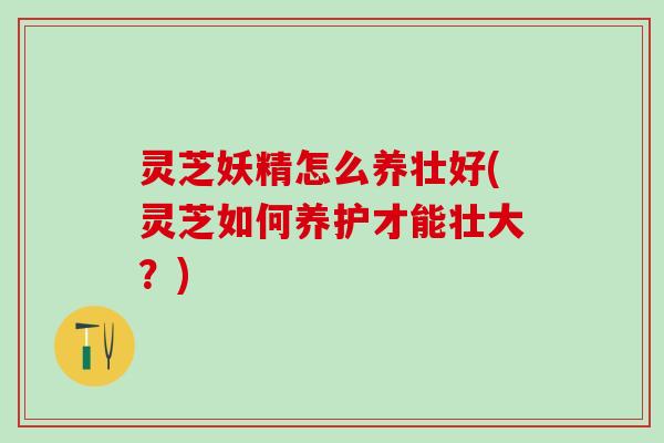 灵芝妖精怎么养壮好(灵芝如何养护才能壮大?) 灵芝妖精怎么养壮好(灵芝如何养护才能壮大?)