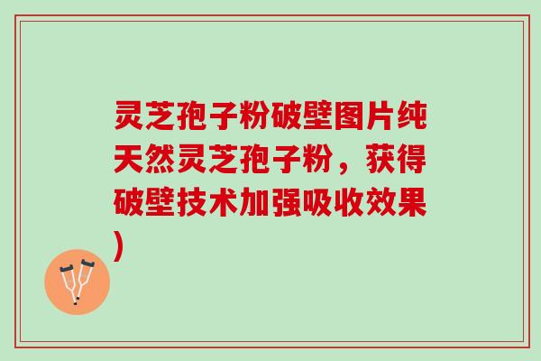 灵芝孢子粉破壁图片纯天然灵芝孢子粉，获得破壁技术加强吸收效果)