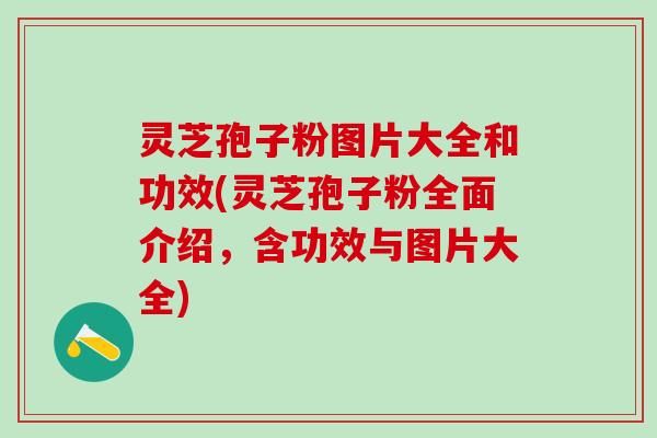 灵芝孢子粉图片大全和功效(灵芝孢子粉全面介绍，含功效与图片大全)