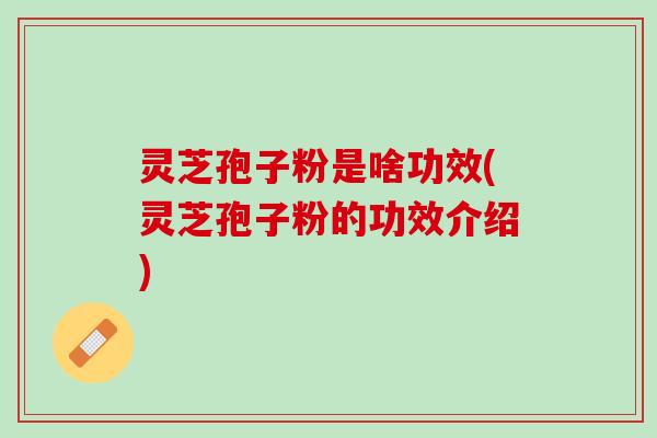 灵芝孢子粉是啥功效(灵芝孢子粉的功效介绍)