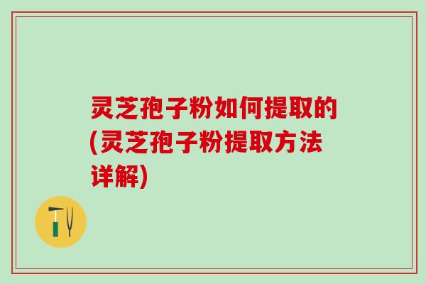 灵芝孢子粉如何提取的(灵芝孢子粉提取方法详解)