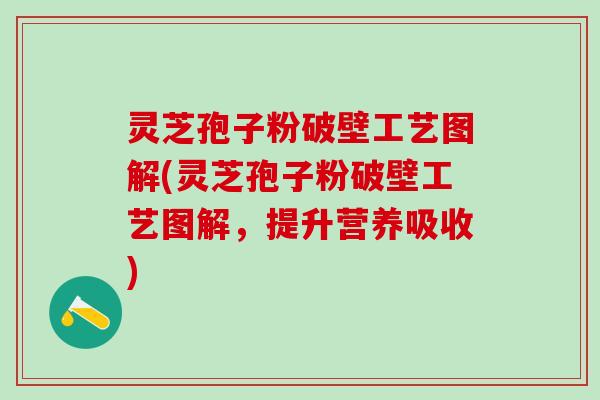 灵芝孢子粉破壁工艺图解(灵芝孢子粉破壁工艺图解，提升营养吸收)