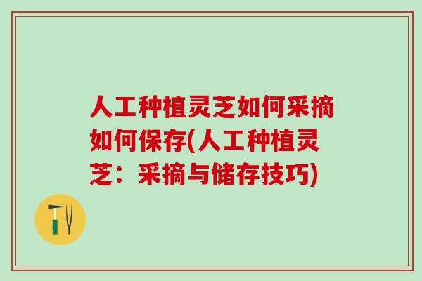 人工种植灵芝如何采摘如何保存(人工种植灵芝：采摘与储存技巧)