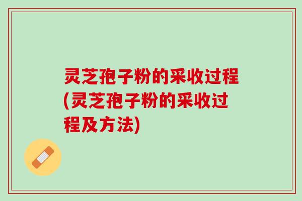 灵芝孢子粉的采收过程(灵芝孢子粉的采收过程及方法)