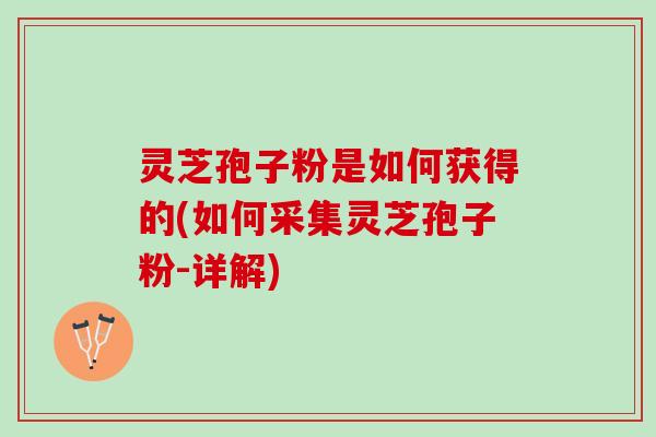 灵芝孢子粉是如何获得的(如何采集灵芝孢子粉-详解)