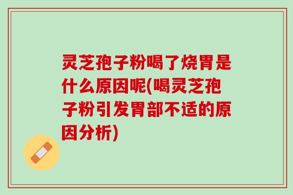 灵芝孢子粉喝了烧胃是什么原因呢(喝灵芝孢子粉引发胃部不适的原因分析)