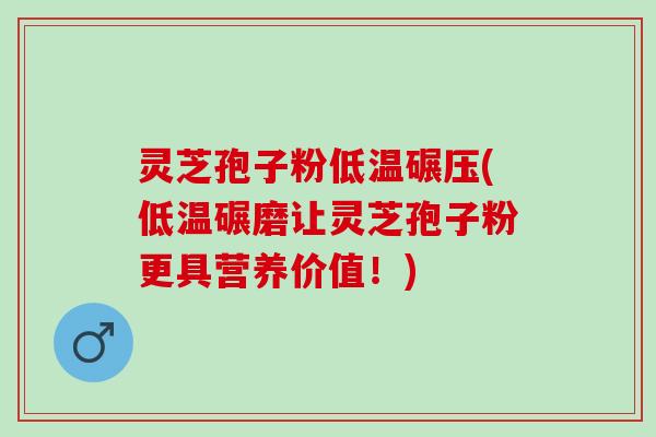 灵芝孢子粉低温碾压(低温碾磨让灵芝孢子粉更具营养价值！)