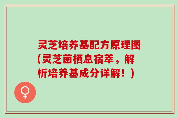 灵芝培养基配方原理图(灵芝菌栖息宿萃,解析培养基成分详解!) 灵芝培养基配方原理图(灵芝菌栖息宿萃,解析培养基成分详解!)