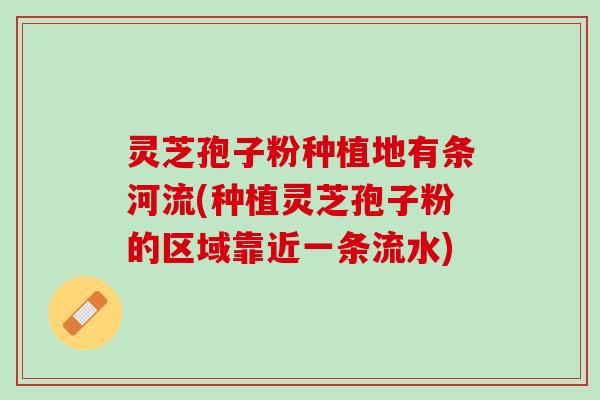 灵芝孢子粉种植地有条河流(种植灵芝孢子粉的区域靠近一条流水) 灵芝孢子粉种植地有条河流(种植灵芝孢子粉的区域靠近一条流水)