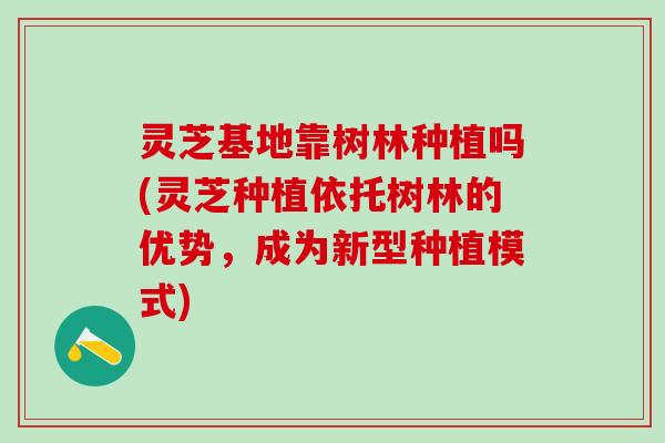 灵芝基地靠树林种植吗(灵芝种植依托树林的优势，成为新型种植模式)
