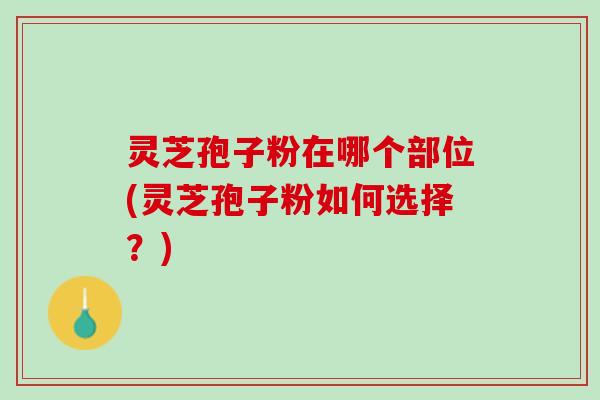 灵芝孢子粉在哪个部位(灵芝孢子粉如何选择?) 灵芝孢子粉在哪个部位(灵芝孢子粉如何选择?)