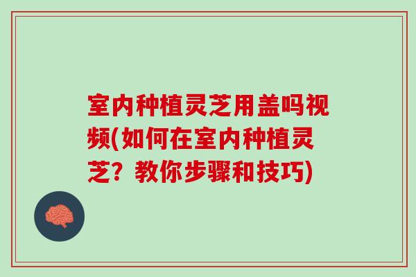 室内种植灵芝用盖吗视频(如何在室内种植灵芝？教你步骤和技巧)