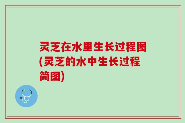 灵芝在水里生长过程图(灵芝的水中生长过程简图)