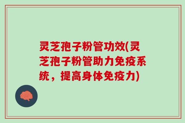 灵芝孢子粉管功效(灵芝孢子粉管助力免疫系统，提高身体免疫力)