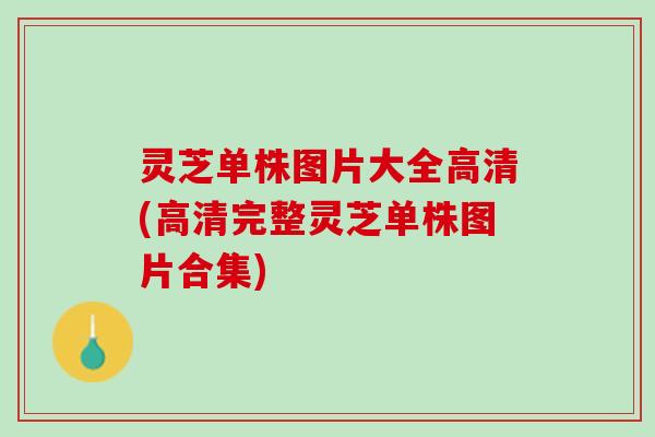 灵芝单株图片大全高清(高清完整灵芝单株图片合集)