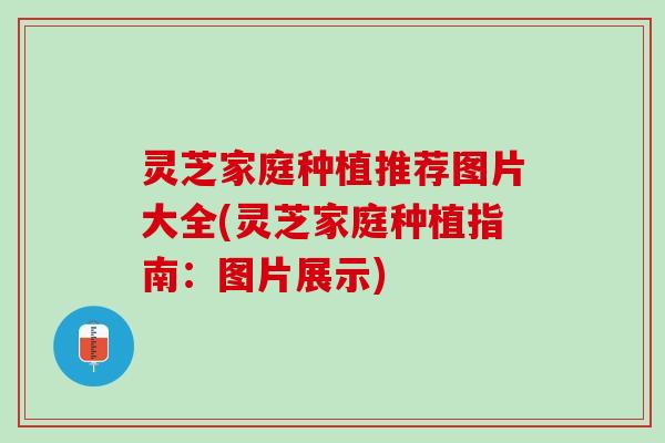 灵芝家庭种植推荐图片大全(灵芝家庭种植指南:图片展示) 灵芝家庭种植推荐图片大全(灵芝家庭种植指南:图片展示)