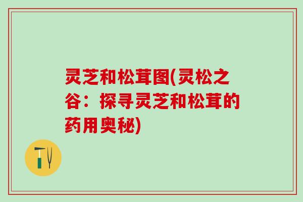 灵芝和松茸图(灵松之谷：探寻灵芝和松茸的药用奥秘)