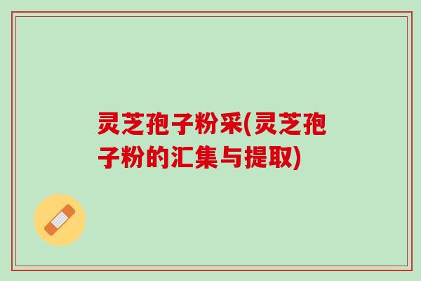 灵芝孢子粉采(灵芝孢子粉的汇集与提取)