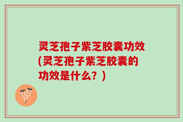 灵芝孢子紫芝胶囊功效(灵芝孢子紫芝胶囊的功效是什么？)