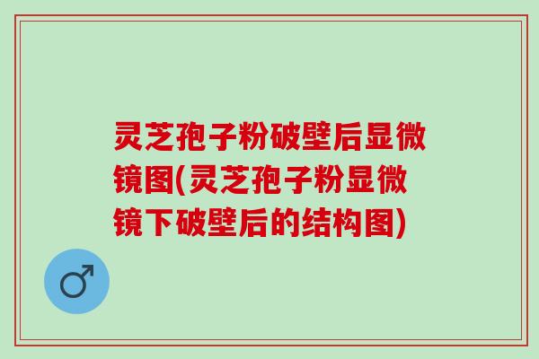 灵芝孢子粉破壁后显微镜图(灵芝孢子粉显微镜下破壁后的结构图)
