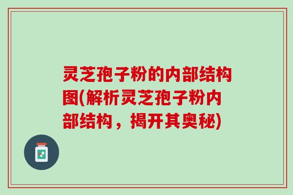 灵芝孢子粉的内部结构图(解析灵芝孢子粉内部结构，揭开其奥秘)