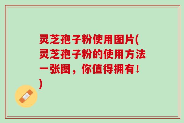 灵芝孢子粉使用图片(灵芝孢子粉的使用方法一张图，你值得拥有！)