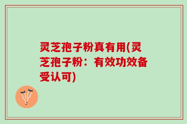 灵芝孢子粉真有用(灵芝孢子粉:有效功效备受认可) 灵芝孢子粉真有用(灵芝孢子粉:有效功效备受认可)