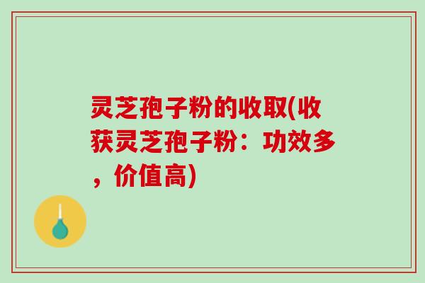 灵芝孢子粉的收取(收获灵芝孢子粉:功效多,价值高) 灵芝孢子粉的收取(收获灵芝孢子粉:功效多,价值高)