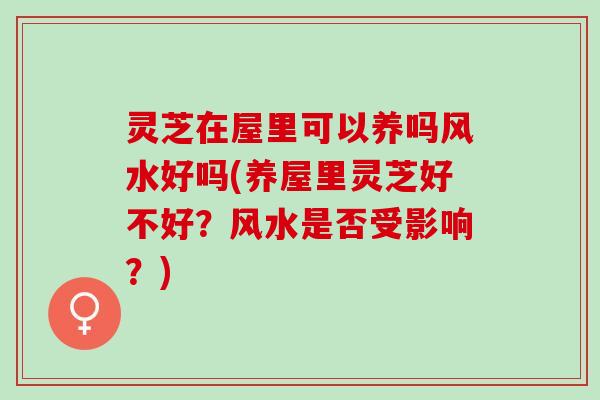 灵芝在屋里可以养吗风水好吗(养屋里灵芝好不好?风水是否受影响?) 灵芝在屋里可以养吗风水好吗(养屋里灵芝好不好?风水是否受影响?)