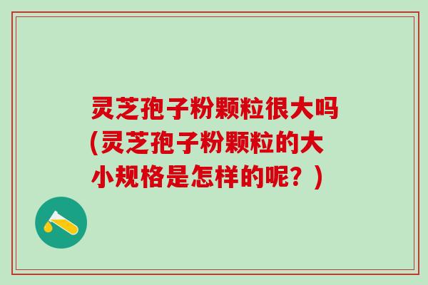 灵芝孢子粉颗粒很大吗(灵芝孢子粉颗粒的大小规格是怎样的呢？)