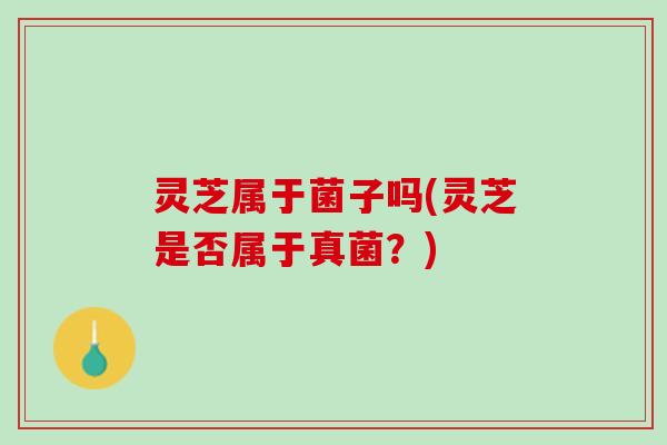 灵芝属于菌子吗(灵芝是否属于真菌？)