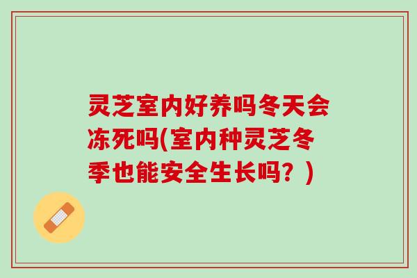 灵芝室内好养吗冬天会冻死吗(室内种灵芝冬季也能安全生长吗？)