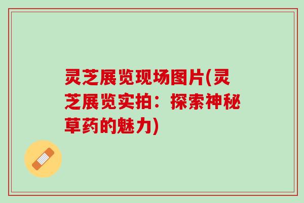 灵芝展览现场图片(灵芝展览实拍：探索神秘草药的魅力)
