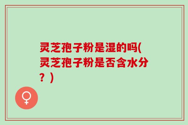 灵芝孢子粉是湿的吗(灵芝孢子粉是否含水分？)