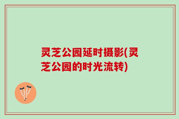 灵芝公园延时摄影(灵芝公园的时光流转)
