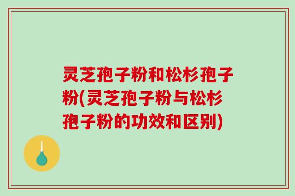 灵芝孢子粉和松杉孢子粉(灵芝孢子粉与松杉孢子粉的功效和区别)