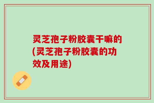 灵芝孢子粉胶囊干嘛的(灵芝孢子粉胶囊的功效及用途)
