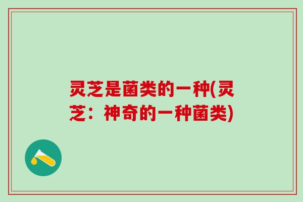 灵芝是菌类的一种(灵芝:神奇的一种菌类) 灵芝是菌类的一种(灵芝:神奇的一种菌类)