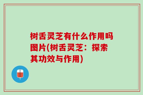 树舌灵芝有什么作用吗图片(树舌灵芝：探索其功效与作用)