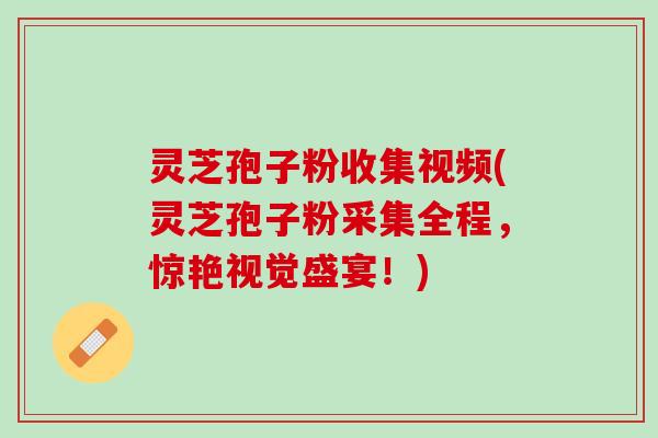 灵芝孢子粉收集视频(灵芝孢子粉采集全程,惊艳视觉盛宴!) 灵芝孢子粉收集视频(灵芝孢子粉采集全程,惊艳视觉盛宴!)