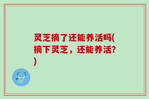 灵芝摘了还能养活吗(摘下灵芝，还能养活？)