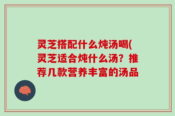 灵芝搭配什么炖汤喝(灵芝适合炖什么汤?推荐几款营养丰富的汤品 灵芝搭配什么炖汤喝(灵芝适合炖什么汤?推荐几款营养丰富的汤品