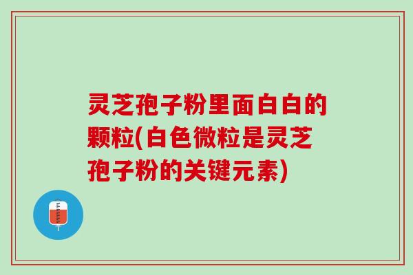 灵芝孢子粉里面白白的颗粒(白色微粒是灵芝孢子粉的关键元素)