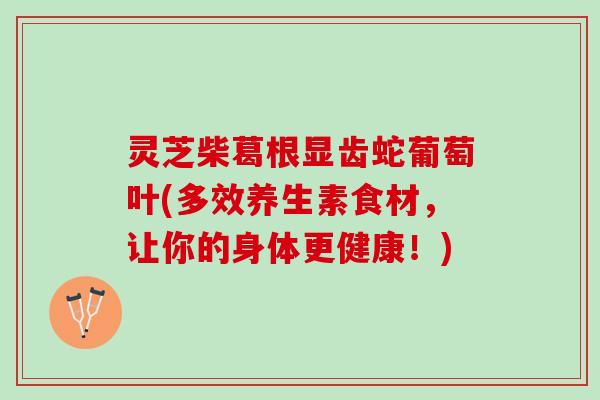 灵芝柴葛根显齿蛇葡萄叶(多效养生素食材，让你的身体更健康！)