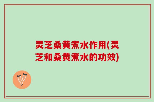 灵芝桑黄煮水作用(灵芝和桑黄煮水的功效)